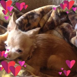 Meet your Posher, Roberta